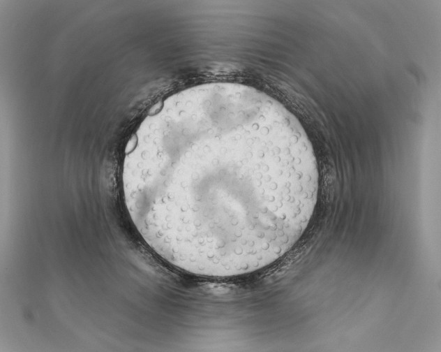 X0000110970654200907310930