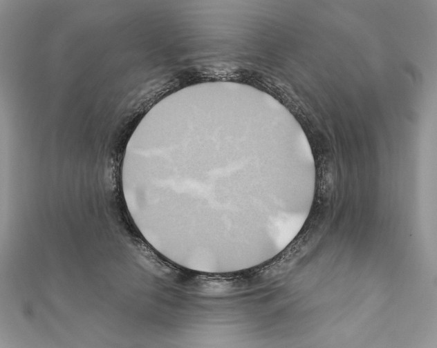 X0000110970658200907310930