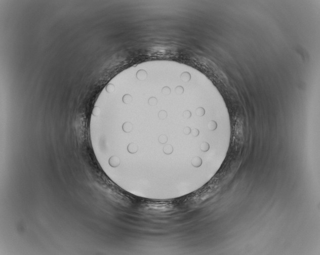 X0000110970659200907310930