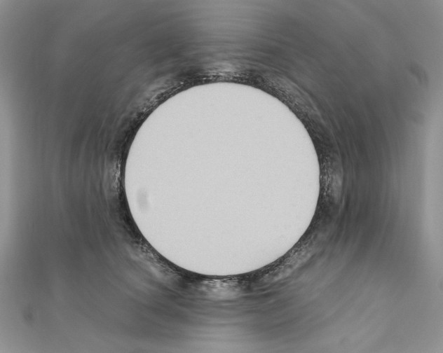 X0000110970660200907310930