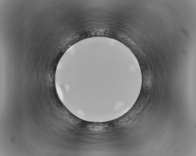 X0000110970661200907310930