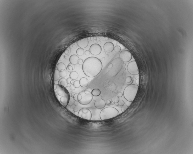 X0000110970662200907310930