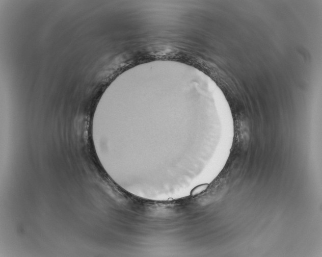 X0000110970664200907310930