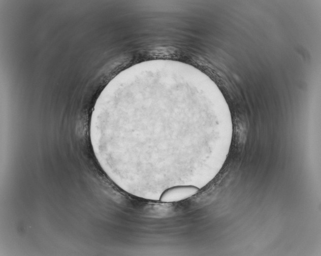 X0000110970665200907310930
