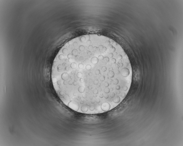 X0000110970666200907310930