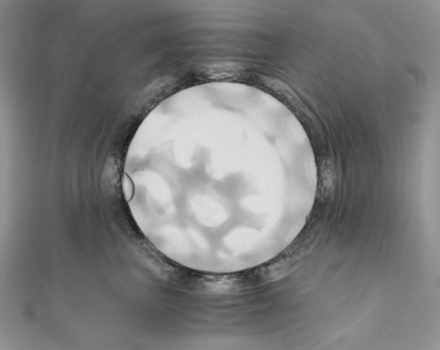 X0000110970667200907310930