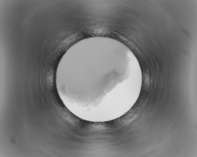 X0000110970668200907310930