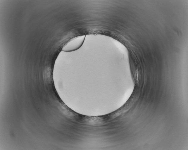 X0000110970670200907310930