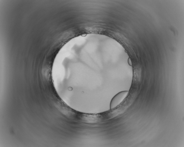 X0000110970671200907310930