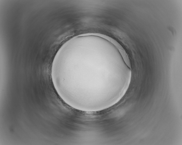 X0000110970672200907310930