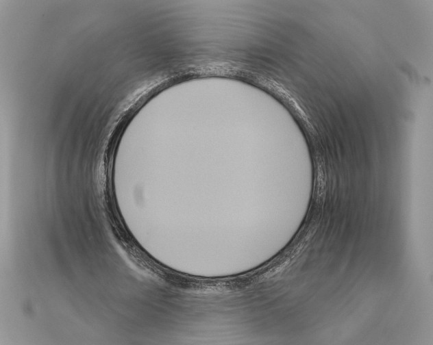 X0000110970674200907310930