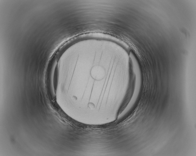 X0000110970676200907310930