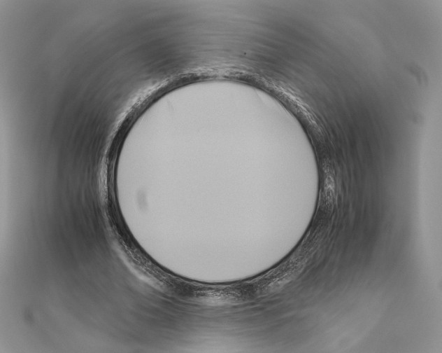 X0000110970678200907310930