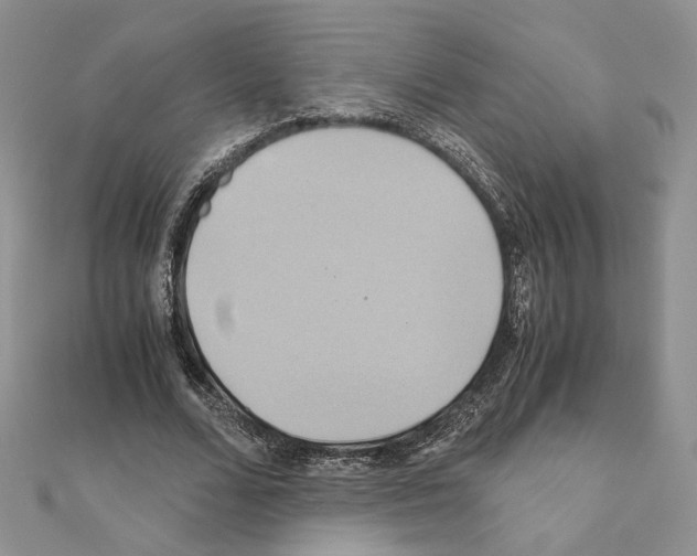 X0000110970680200907310930