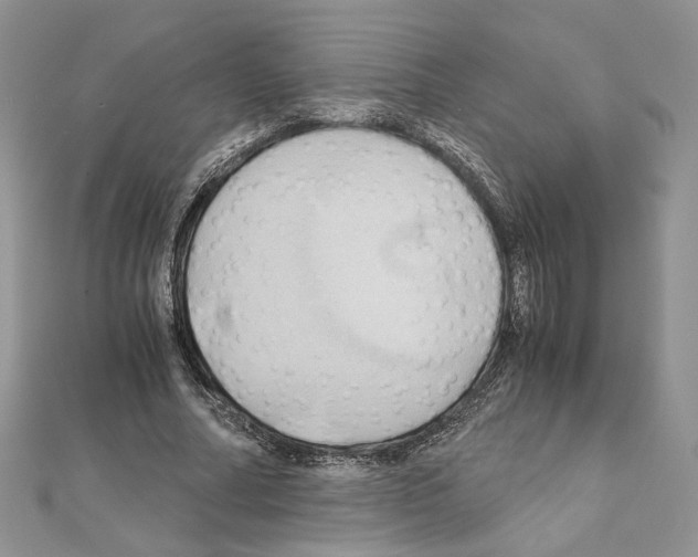 X0000110970682200907310930