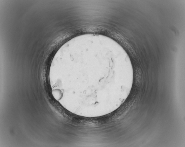 X0000110970683200907310930