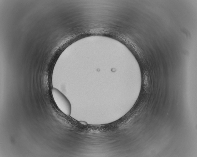 X0000110970684200907310930