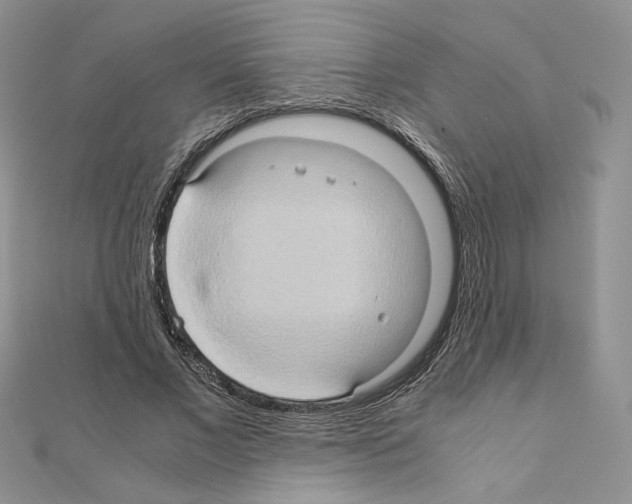 X0000110970685200907310930