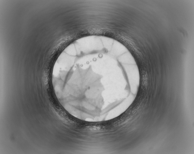 X0000110970687200907310929