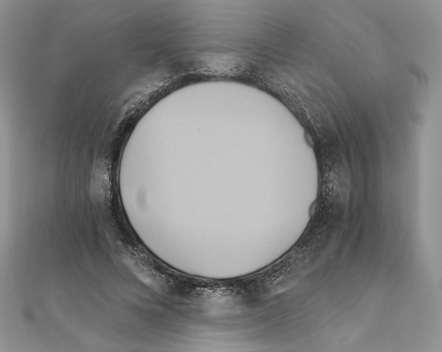 X0000110970688200907310929