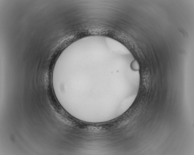 X0000110970690200907310929