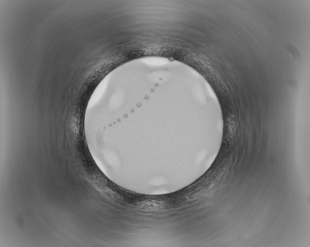 X0000110970691200907310929