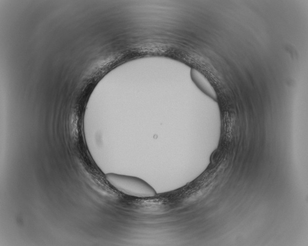 X0000110970692200907310929