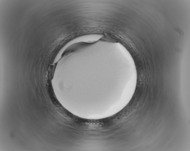 X0000110970693200907310929