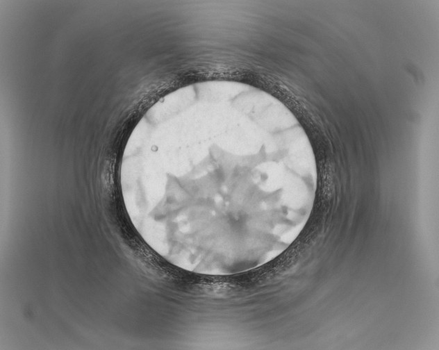 X0000110970695200907310929