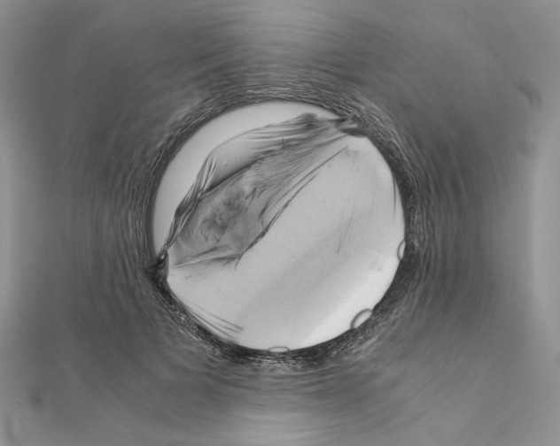 X0000110970697200907310929