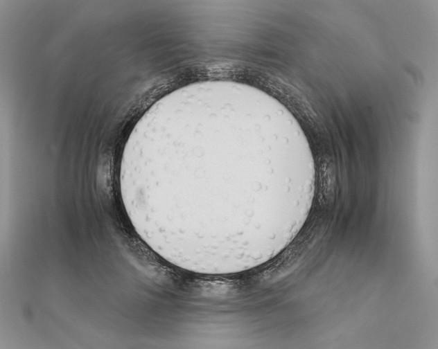 X0000110970698200907310929