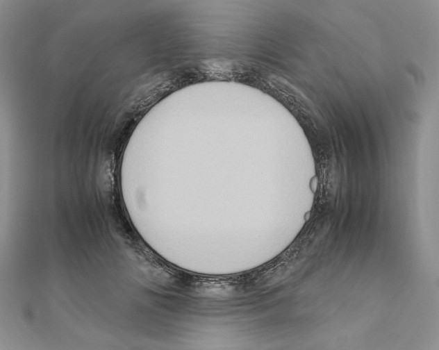 X0000110970702200907310929