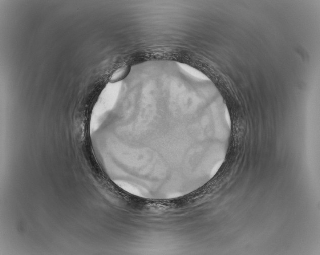 X0000110970703200907310929