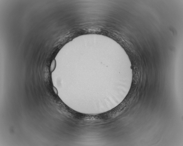 X0000110970704200907310929