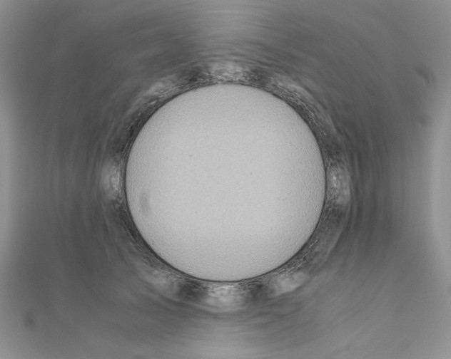 X0000110970705200907310929