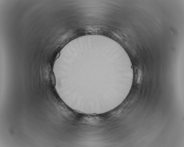 X0000110970712200907310929