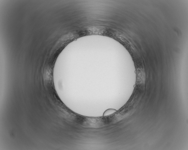 X0000110970713200907310929