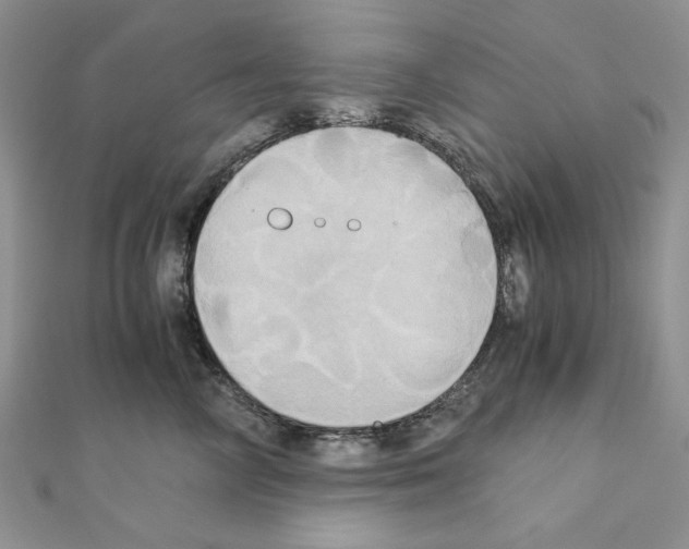 X0000110970714200907310929