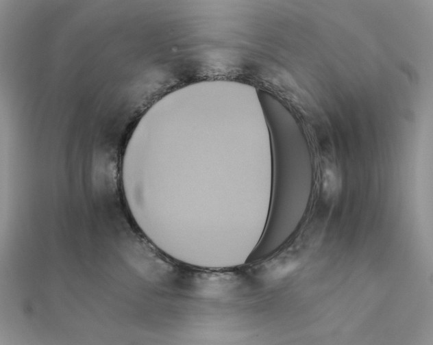 X0000110970716200907310929