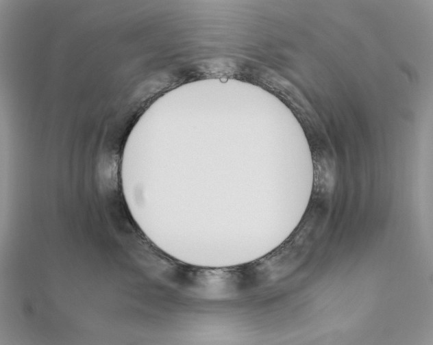 X0000110970717200907310929