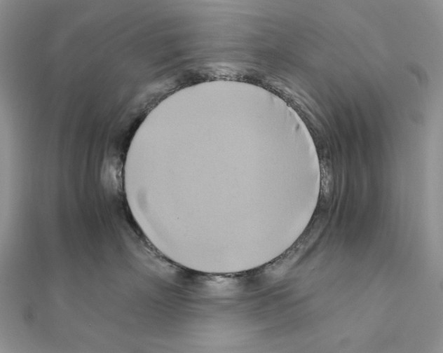 X0000110970718200907310929