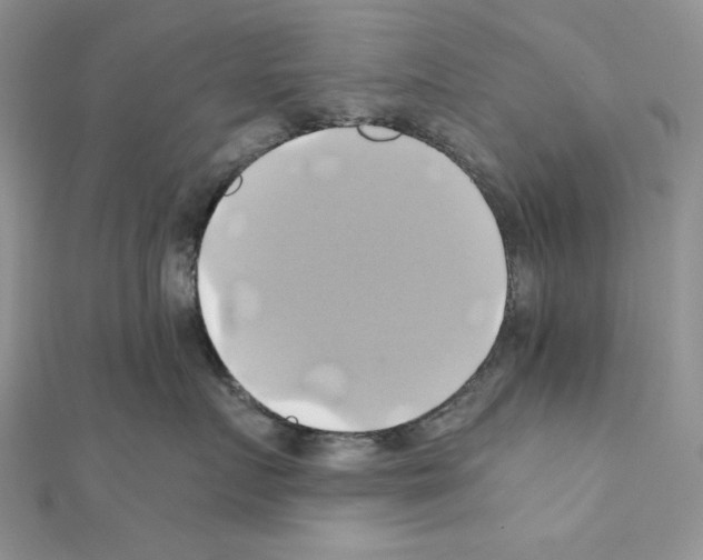X0000110970719200907310929