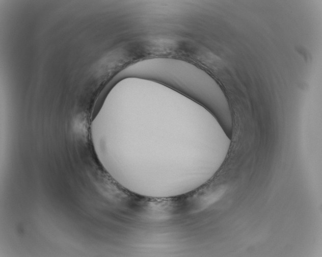X0000110970720200907310929