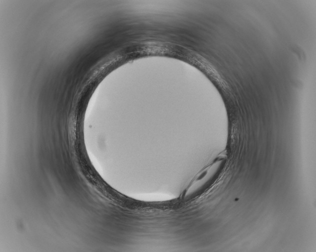 X0000110970722200907310928
