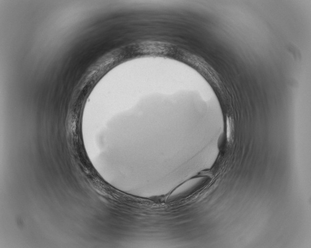 X0000110970723200907310928