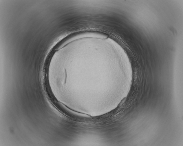 X0000110970726200907310928