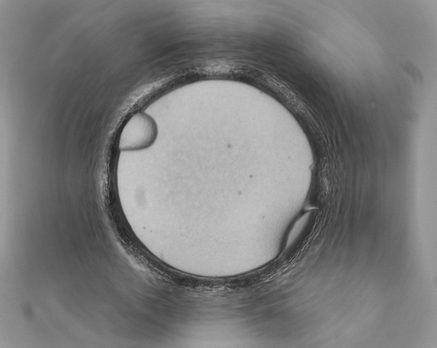 X0000110970728200907310928