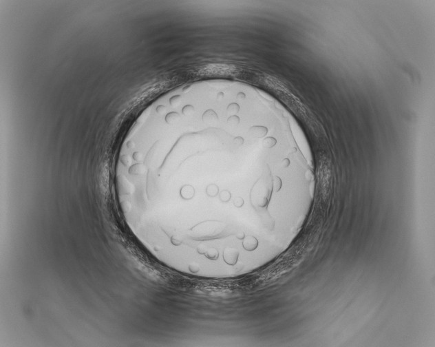 X0000110970729200907310928