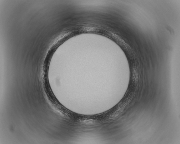 X0000110970730200907310928