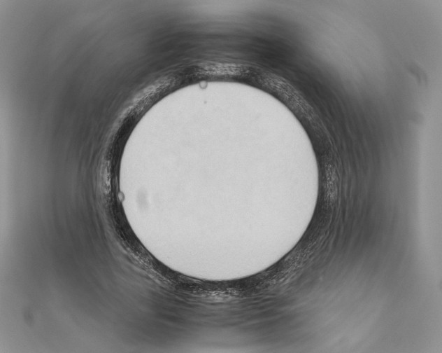 X0000110970731200907310928